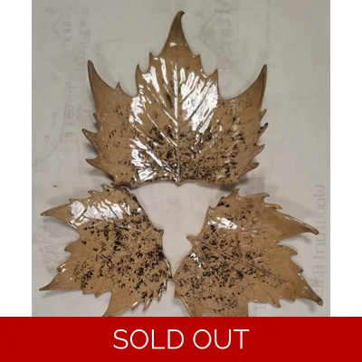 Earthen leaves – Autumn leaf plates (Set of 3)
